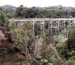 Waitutu Tracks (South Coast Track)